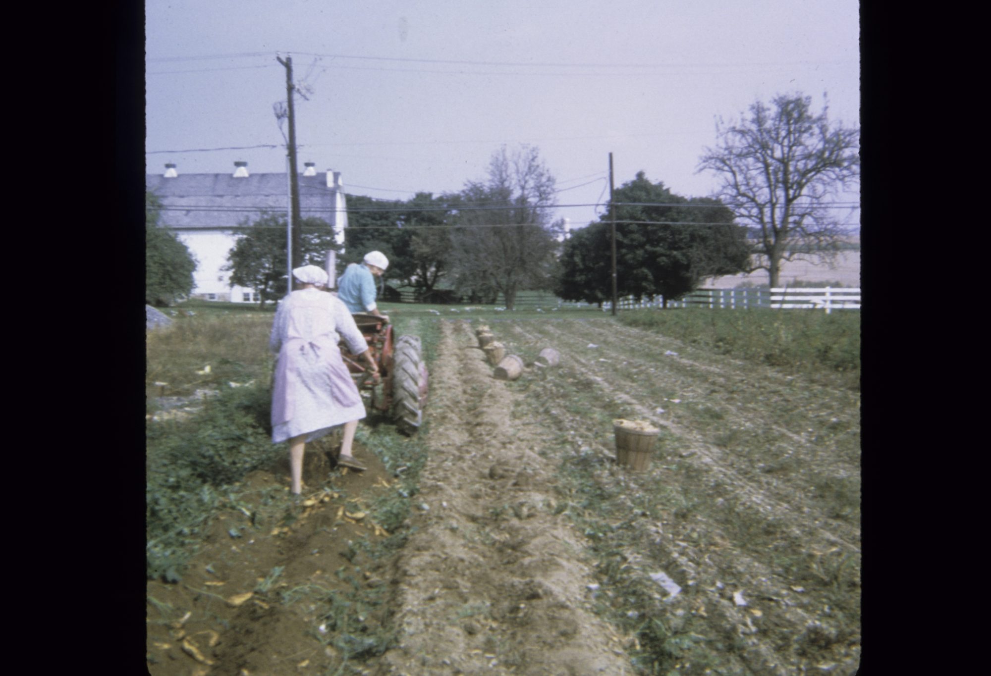 Edna Hoffer and Grace Barto working Hoffer Farm