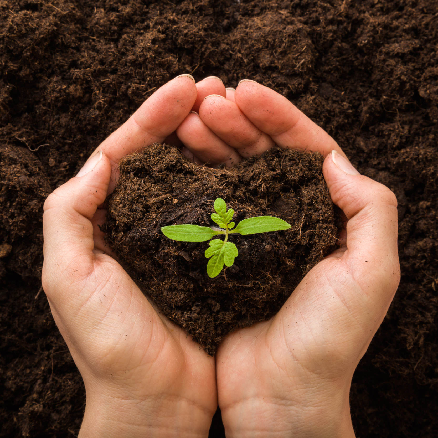 The Working Farm at Hoffer Farm