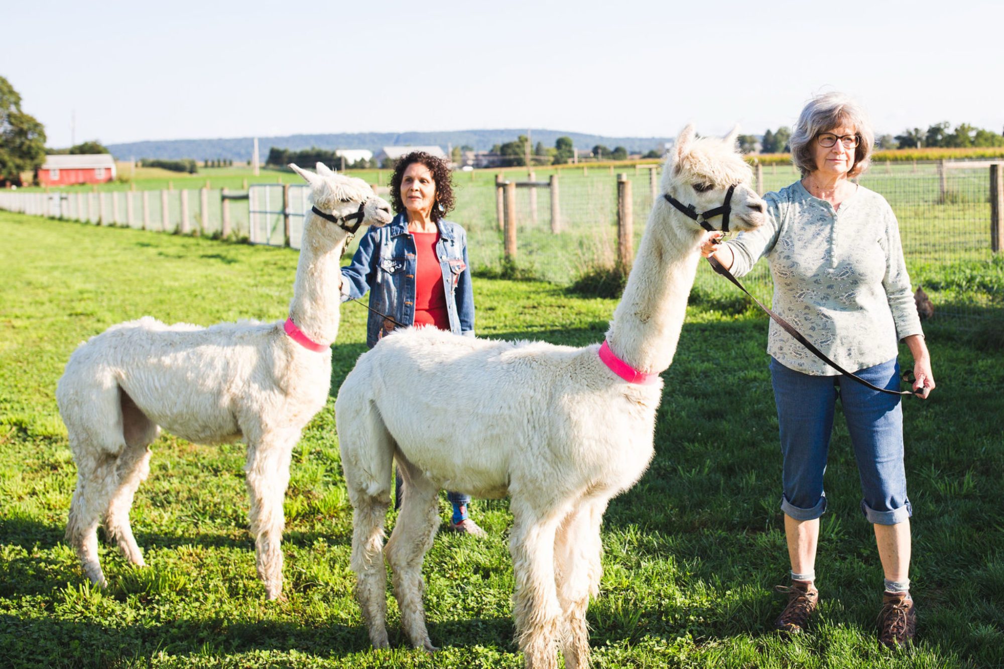 Animal Therapy at Hoffer Farm