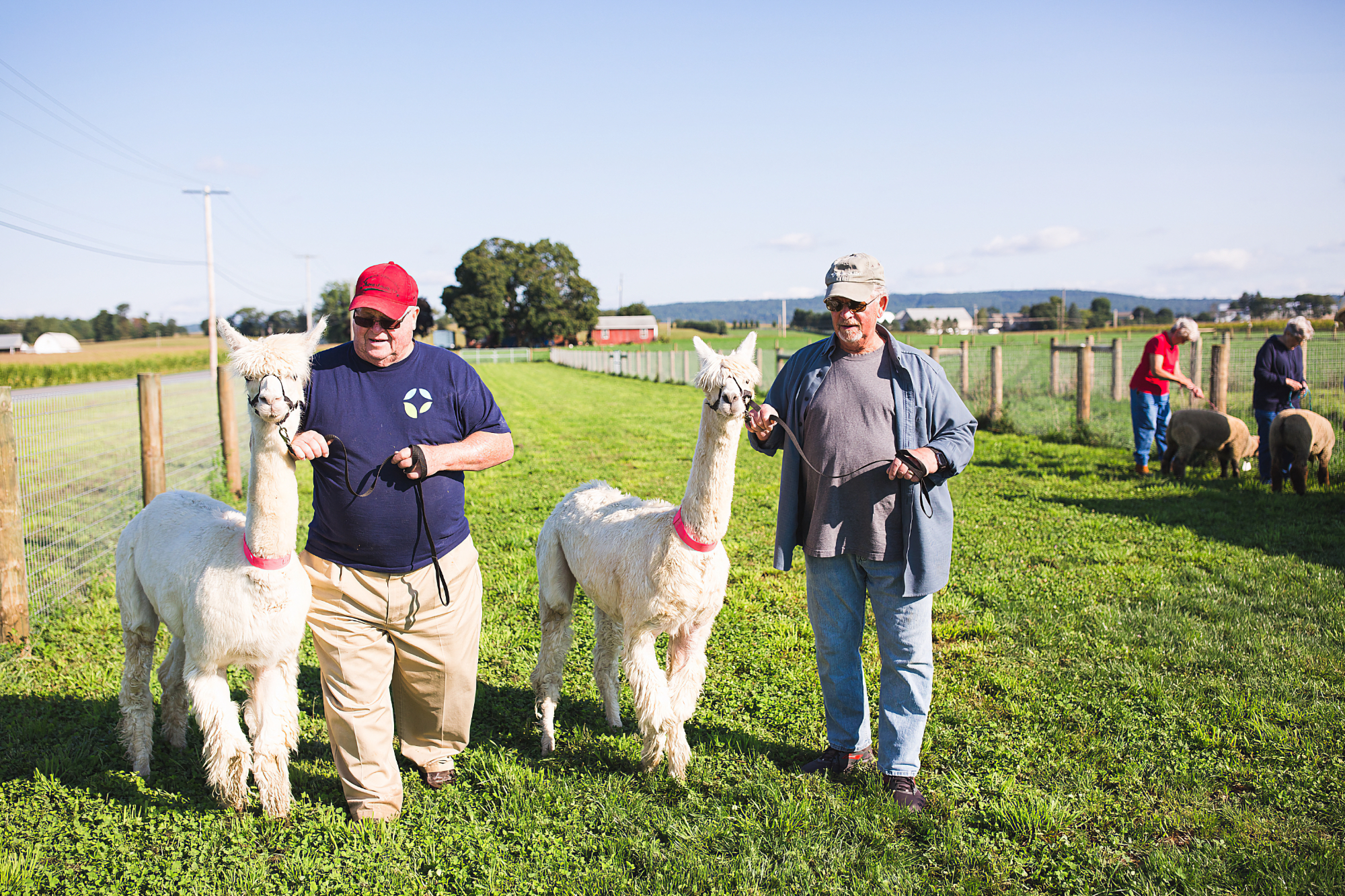 Animal Therapy at Hoffer Farm