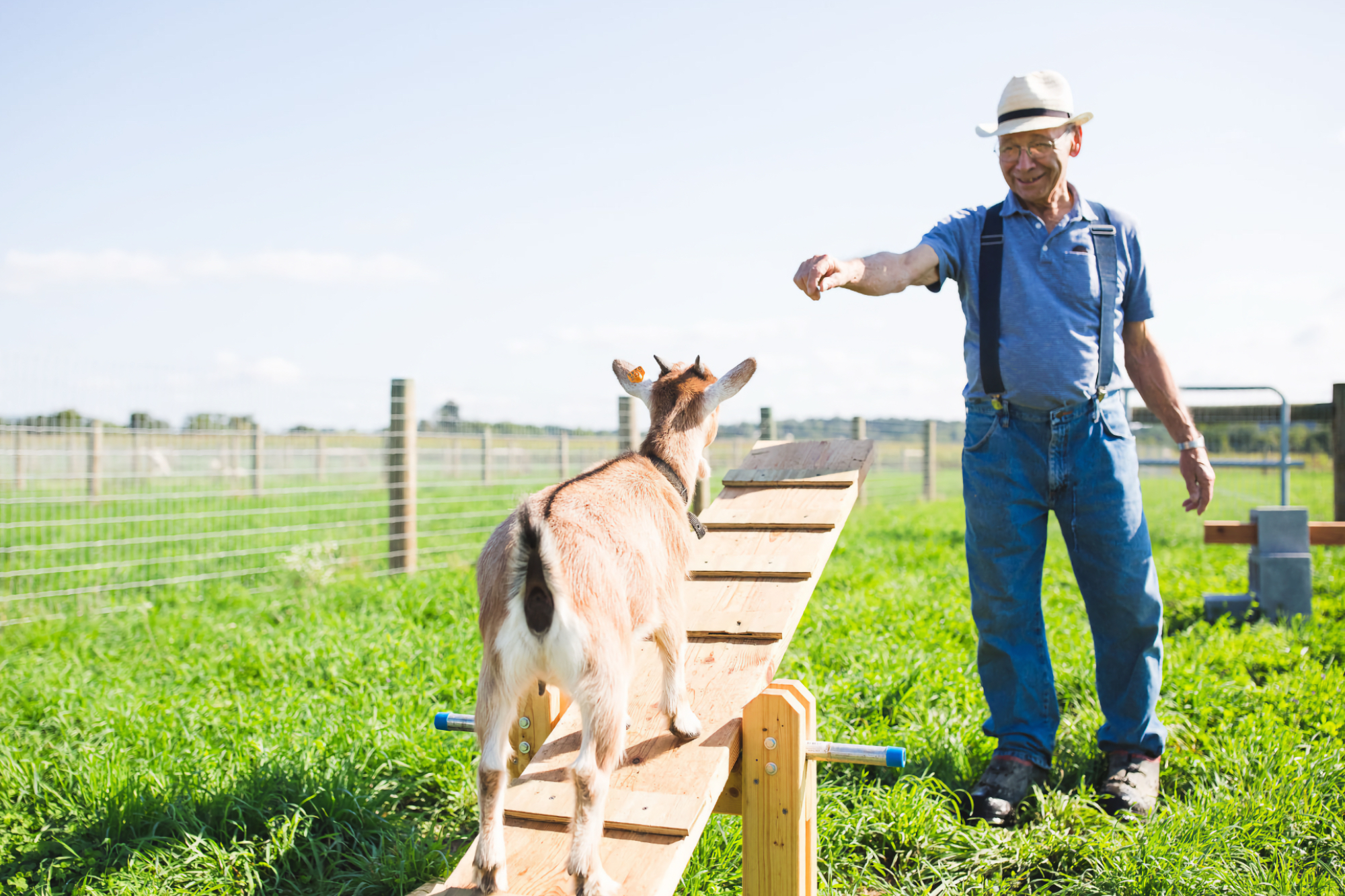 Volunteer at Hoffer Farm