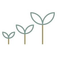 Plants Harvested at Hoffer Farm